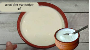 How To Make Creamy Curd At Home | Thick And Creamy Dahi Recipe | How to make Thick Curd | Homemade Curd Recipe