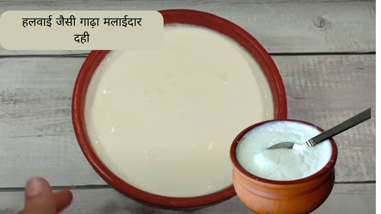 How To Make Creamy Curd At Home | Thick And Creamy Dahi Recipe | How to make Thick Curd | Homemade Curd Recipe