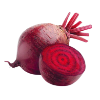 Beetroot-removebg-preview Beetroot-removebg-preview