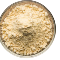 basen-removebg-preview basen-removebg-preview